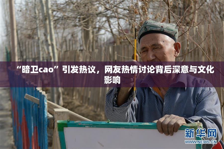 “暗卫cao”引发热议，网友热情讨论背后深意与文化影响