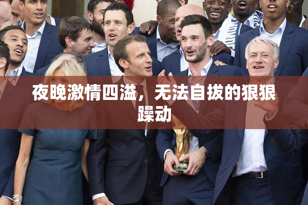 夜晚激情四溢，无法自拔的狠狠躁动