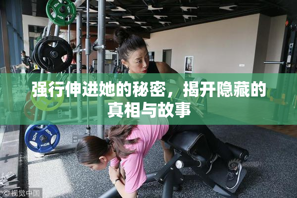 强行伸进她的秘密，揭开隐藏的真相与故事