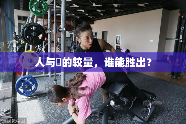 人与嘼的较量，谁能胜出？