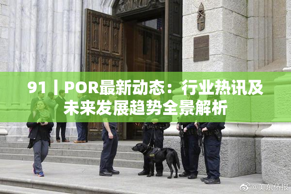 91丨POR最新动态：行业热讯及未来发展趋势全景解析