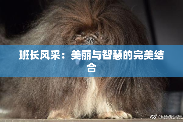 班长风采：美丽与智慧的完美结合
