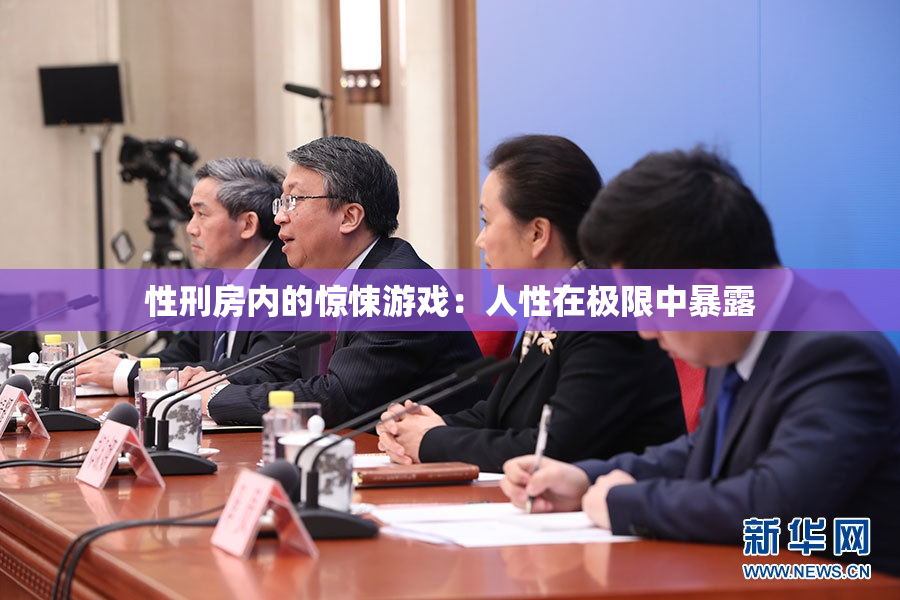 性刑房内的惊悚游戏：人性在极限中暴露