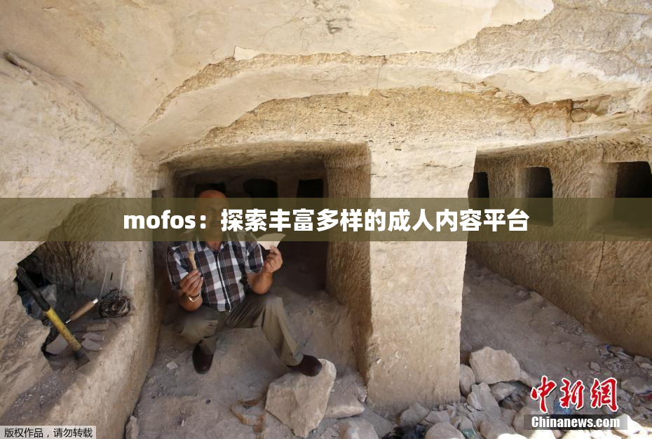 mofos：探索丰富多样的成人内容平台