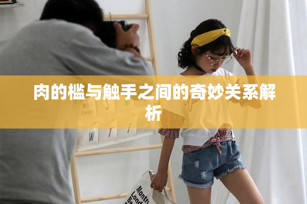 肉的槛与触手之间的奇妙关系解析