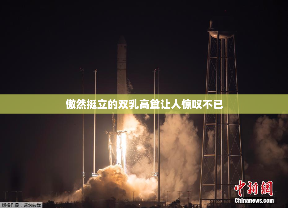 傲然挺立的双乳高耸让人惊叹不已