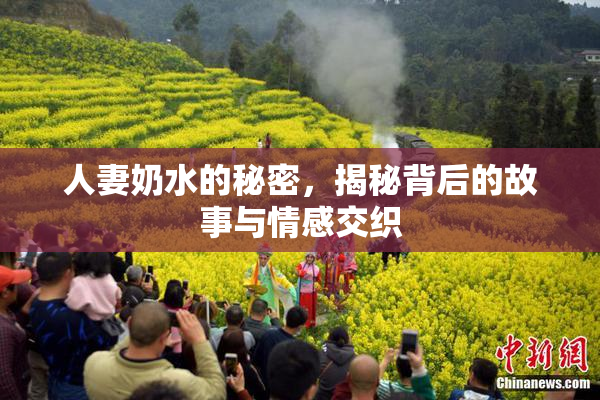 人妻奶水的秘密，揭秘背后的故事与情感交织