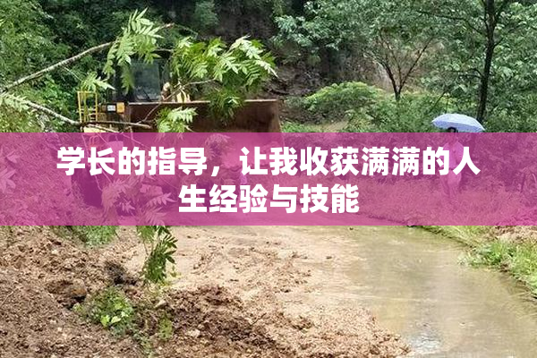 学长的指导，让我收获满满的人生经验与技能
