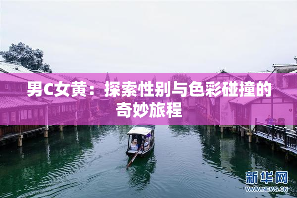 男C女黄：探索性别与色彩碰撞的奇妙旅程