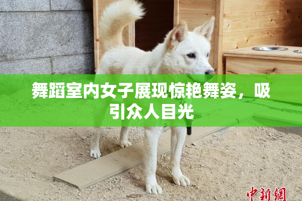舞蹈室内女子展现惊艳舞姿，吸引众人目光