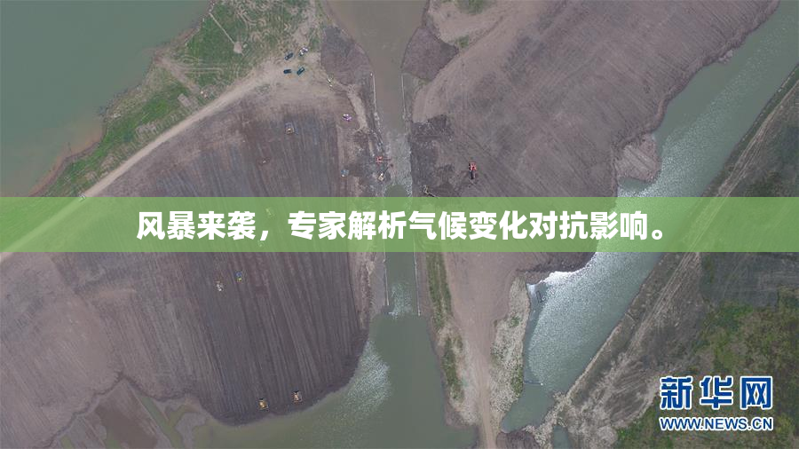 风暴来袭，专家解析气候变化对抗影响。
