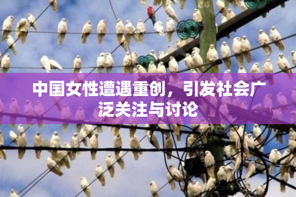 中国女性遭遇重创，引发社会广泛关注与讨论