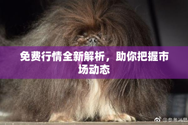 免费行情全新解析，助你把握市场动态