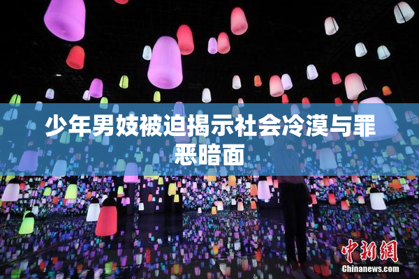 少年男妓被迫揭示社会冷漠与罪恶暗面