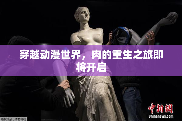 穿越动漫世界，肉的重生之旅即将开启