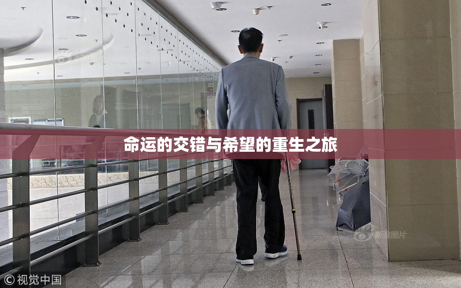 命运的交错与希望的重生之旅