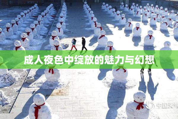 成人夜色中绽放的魅力与幻想