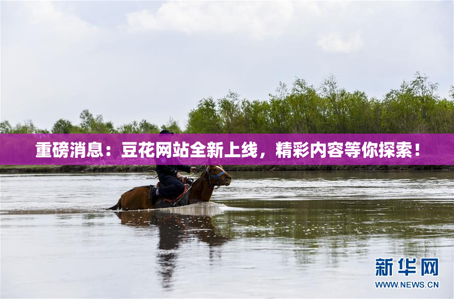 重磅消息：豆花网站全新上线，精彩内容等你探索！