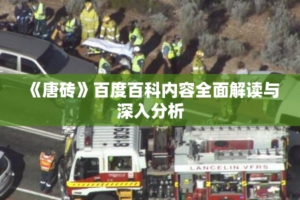《唐砖》百度百科内容全面解读与深入分析