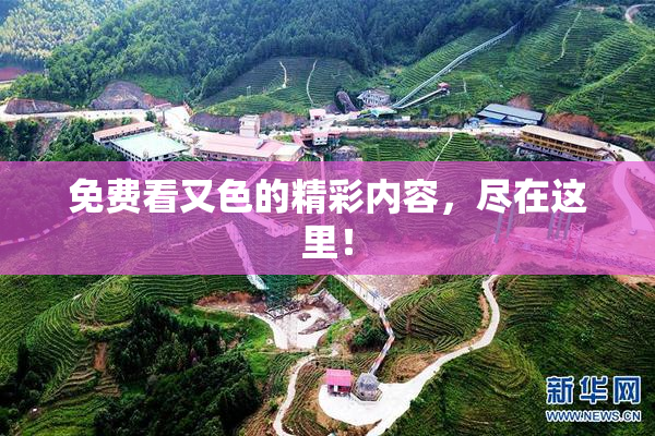 免费看又色的精彩内容，尽在这里！
