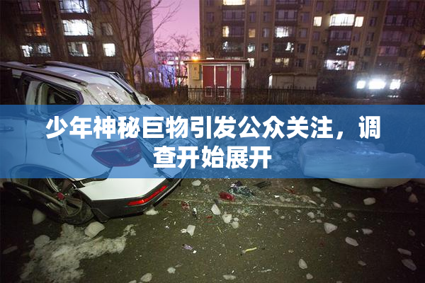 少年神秘巨物引发公众关注，调查开始展开