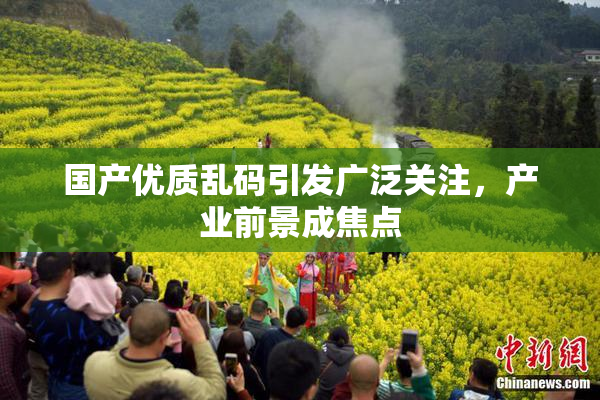 国产优质乱码引发广泛关注，产业前景成焦点