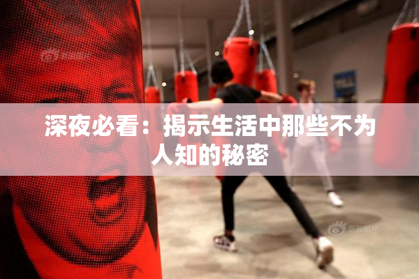 深夜必看：揭示生活中那些不为人知的秘密
