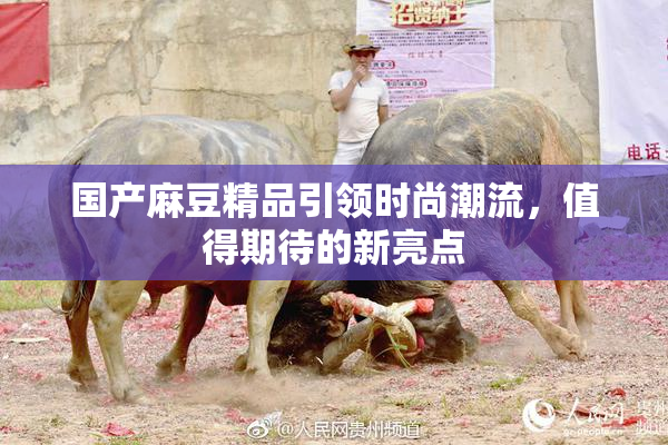 国产麻豆精品引领时尚潮流，值得期待的新亮点