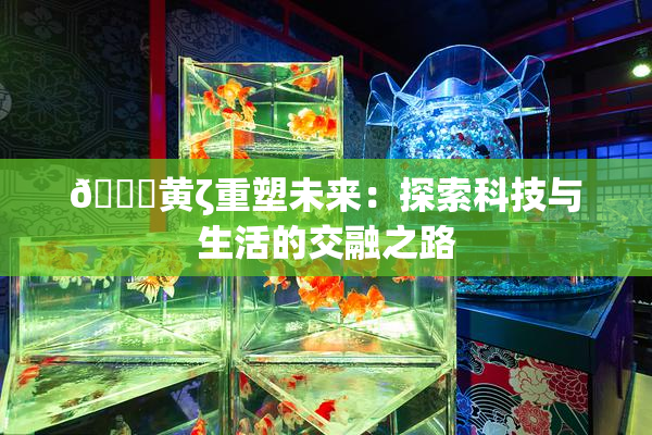 🔞黄ζ重塑未来：探索科技与生活的交融之路