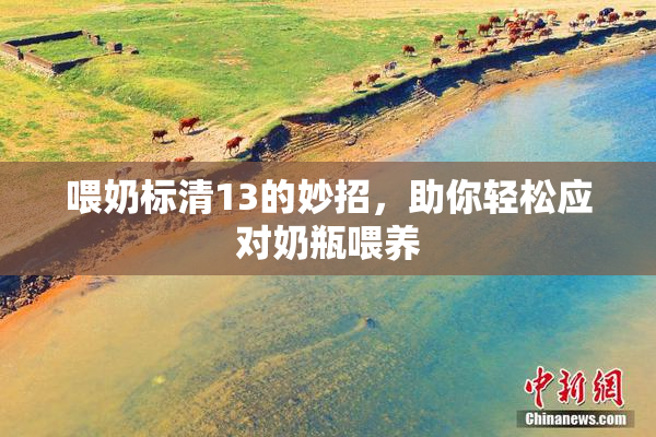 喂奶标清13的妙招，助你轻松应对奶瓶喂养