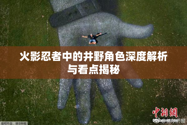 火影忍者中的井野角色深度解析与看点揭秘
