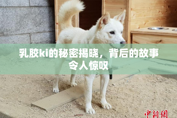 乳胶ki的秘密揭晓，背后的故事令人惊叹