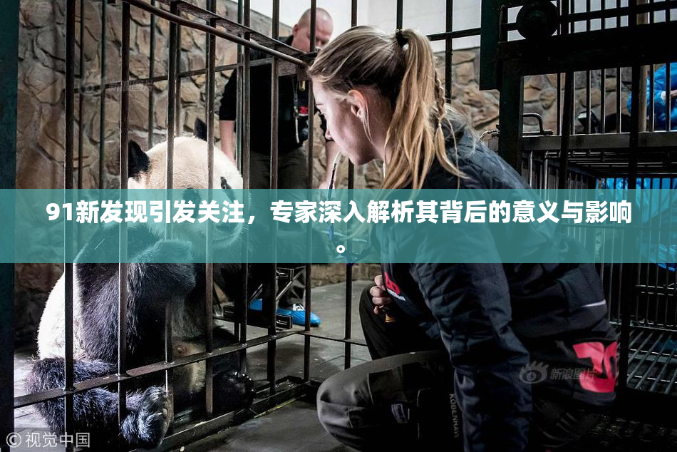91新发现引发关注，专家深入解析其背后的意义与影响。
