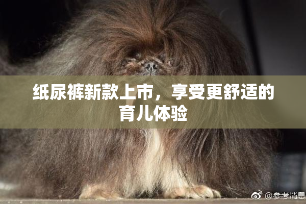 纸尿裤新款上市，享受更舒适的育儿体验