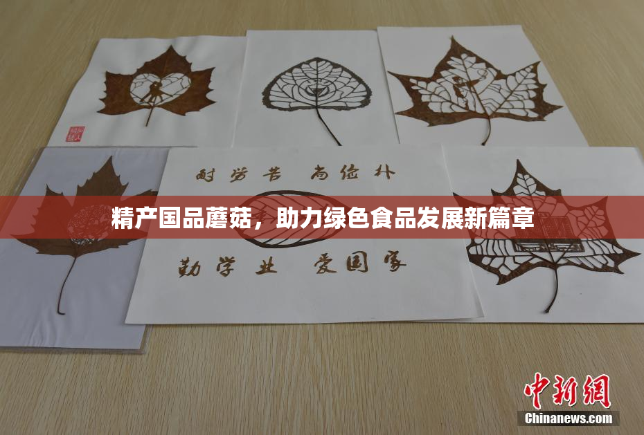 精产国品蘑菇，助力绿色食品发展新篇章