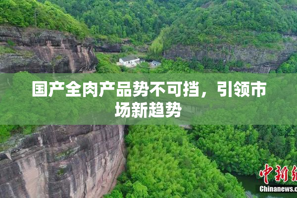 国产全肉产品势不可挡，引领市场新趋势