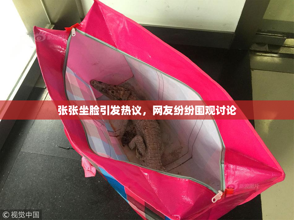 张张坐脸引发热议，网友纷纷围观讨论