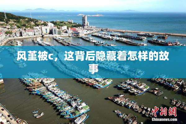 风堇被c，这背后隐藏着怎样的故事