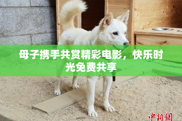 母子携手共赏精彩电影，快乐时光免费共享