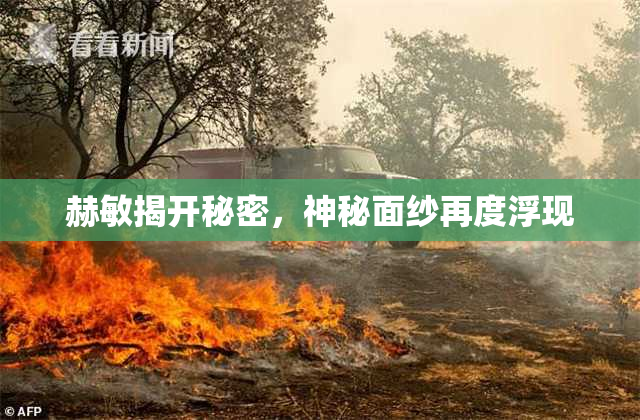 赫敏揭开秘密，神秘面纱再度浮现
