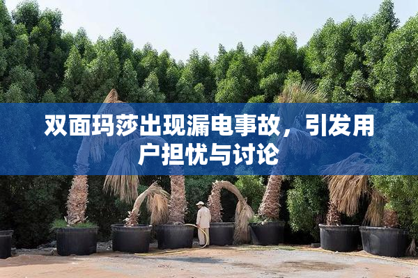 双面玛莎出现漏电事故，引发用户担忧与讨论