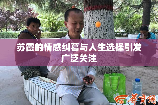 苏霞的情感纠葛与人生选择引发广泛关注