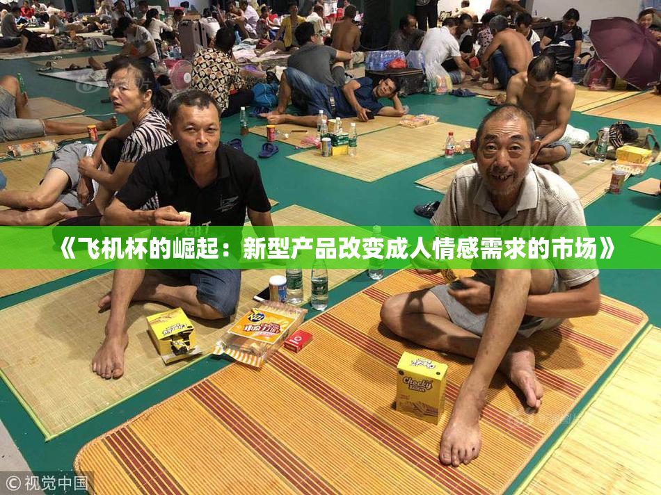 《飞机杯的崛起：新型产品改变成人情感需求的市场》