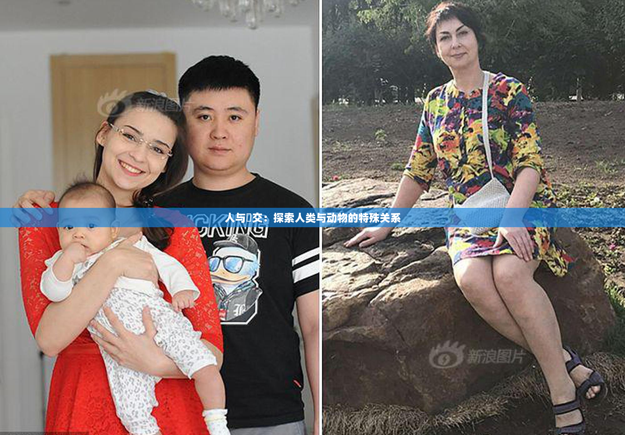 人与嘼交：探索人类与动物的特殊关系