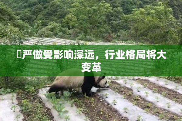 囯严做受影响深远，行业格局将大变革