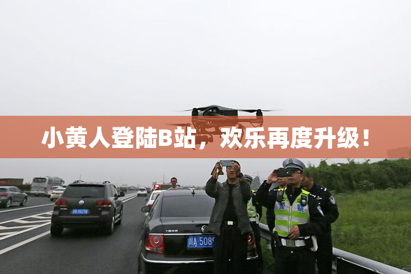 小黄人登陆B站，欢乐再度升级！