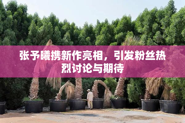 张予曦携新作亮相，引发粉丝热烈讨论与期待