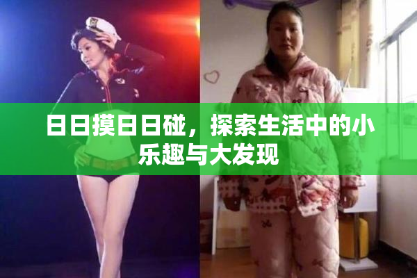 日日摸日日碰，探索生活中的小乐趣与大发现