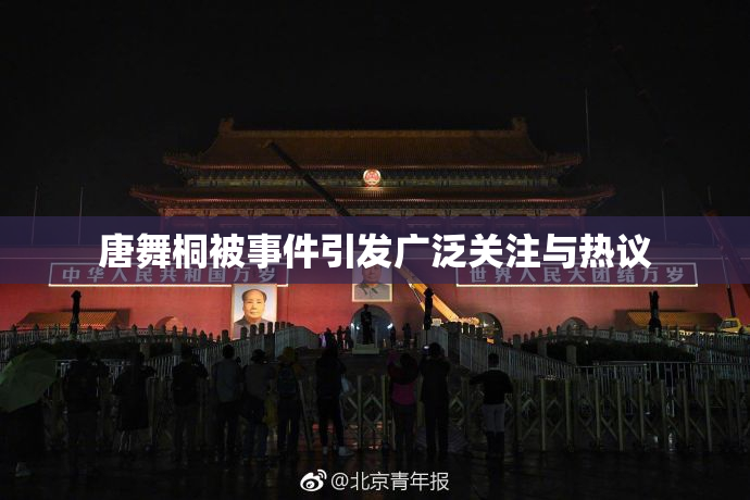 唐舞桐被事件引发广泛关注与热议