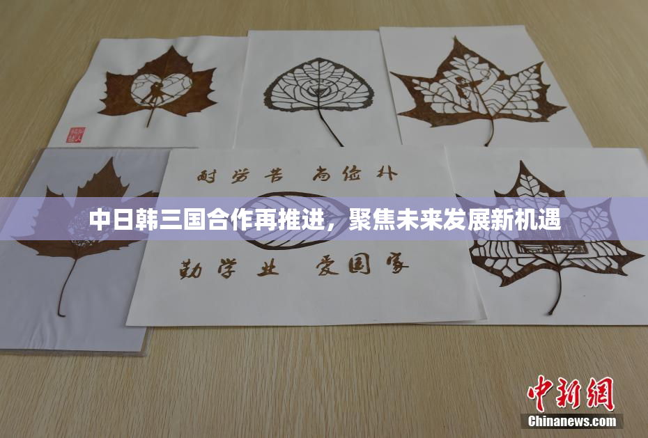 中日韩三国合作再推进，聚焦未来发展新机遇